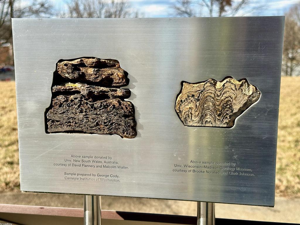 ការណែនាំអំពីlv89